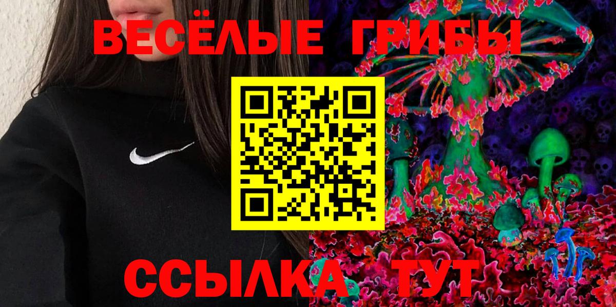 Псилоцибиновые грибы мицелий Шали