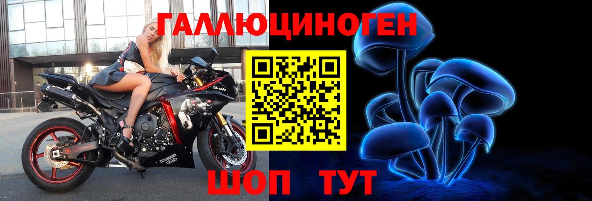 Шали  Псилоцибиновые грибы мухоморы  Вход с VPN  Псилоцибиновые грибы мухоморы 